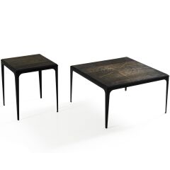 Shw526 Center & 527 Yan Sehpa