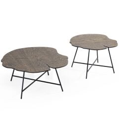 Shw487 Center & Side*2masa