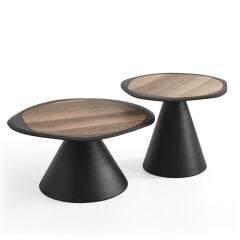 Shw524 Center & Shw525 Yan Sehpa