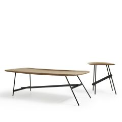Shw656 Center & Shw657 Yan Sehpa